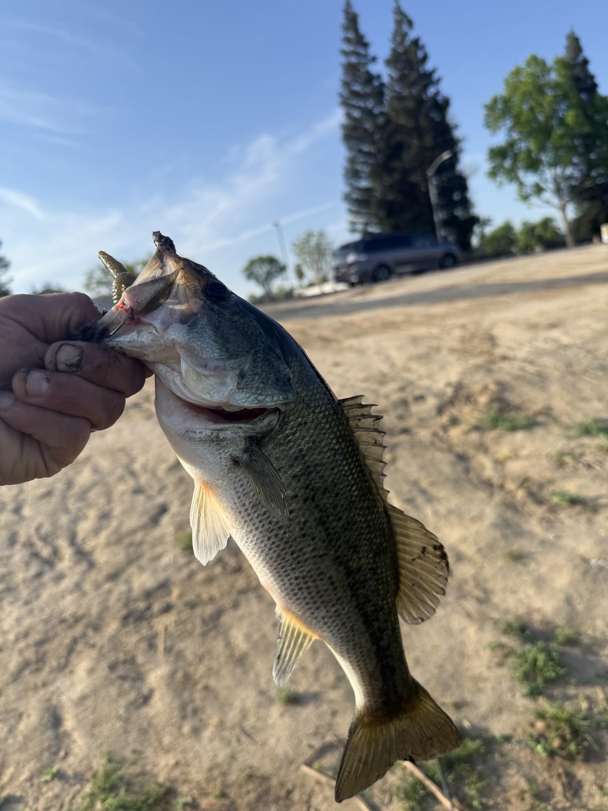 YUM Dinger Soft Plastic Worm customer photo 1