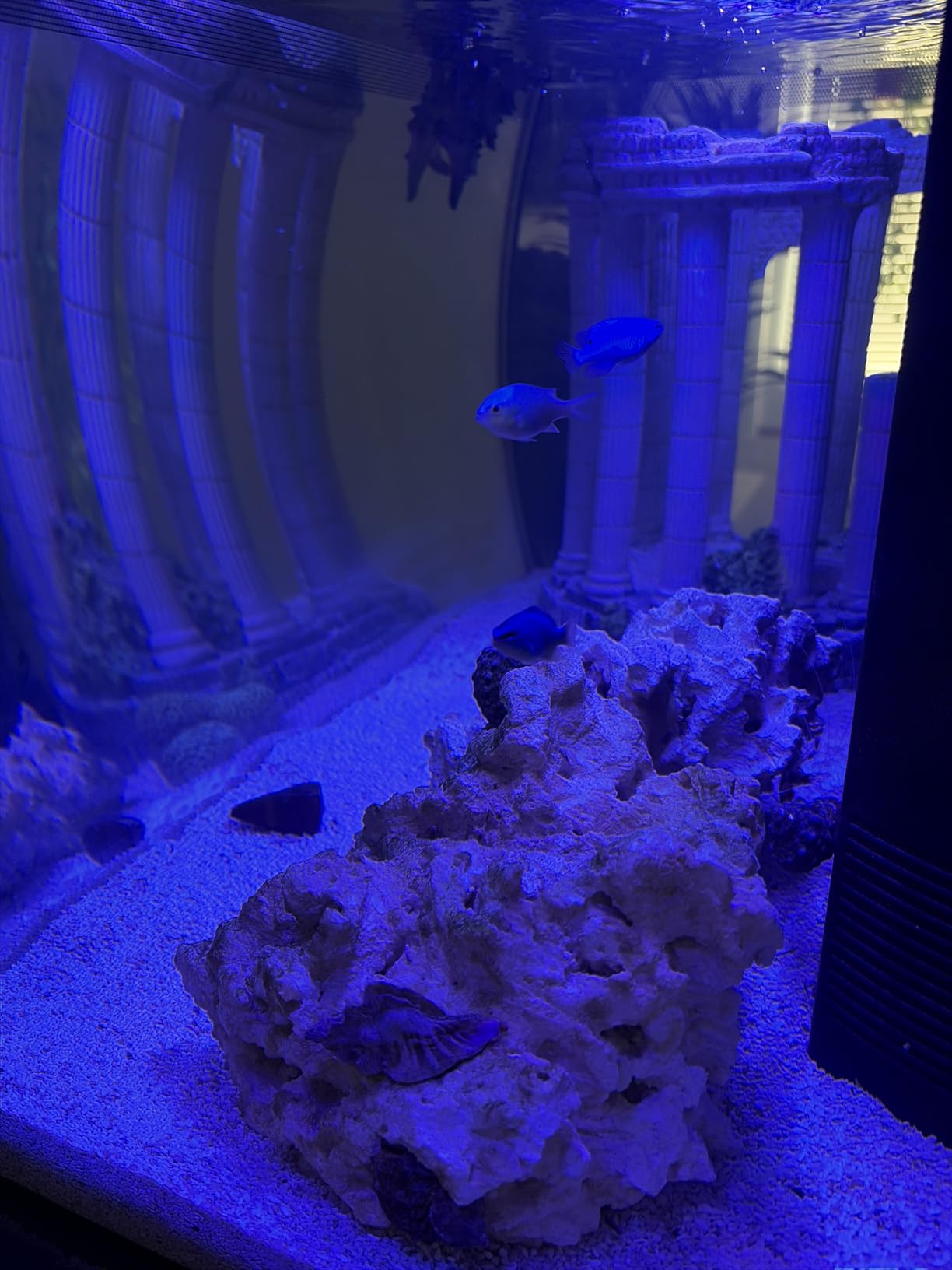 Aquatic Experts Aquarium Filter Floss for Fish Tank Filters - FilterFirst Aquarium Filter Pad customer photo 1