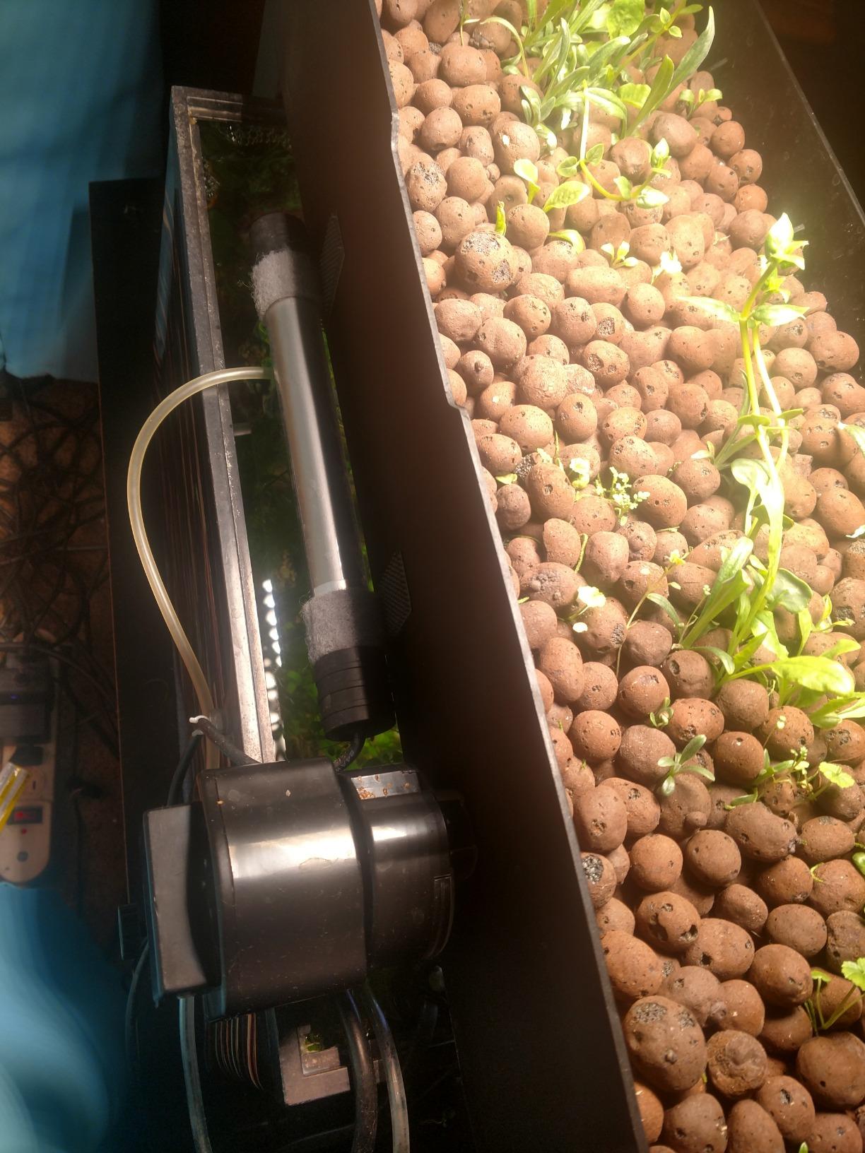 AquaSprouts Aquaponics Garden, Self-Sustaining Desktop Aquarium Hydroponics Ecosystem Kit customer photo 1