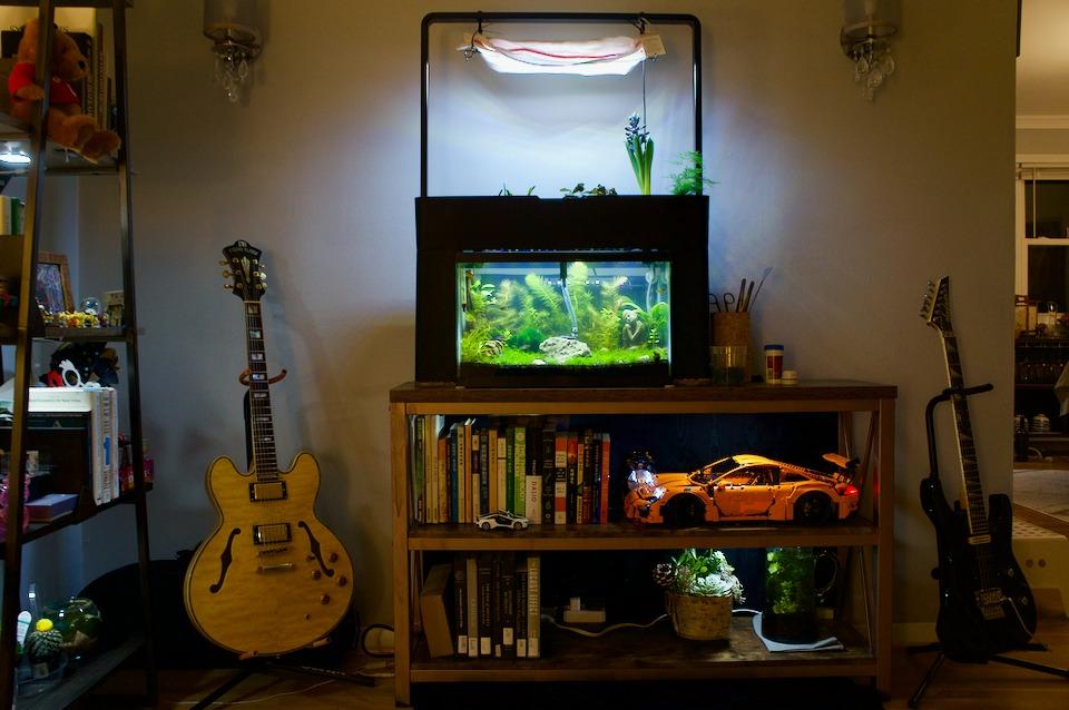 AquaSprouts Aquaponics Garden, Self-Sustaining Desktop Aquarium Hydroponics Ecosystem Kit customer photo 2