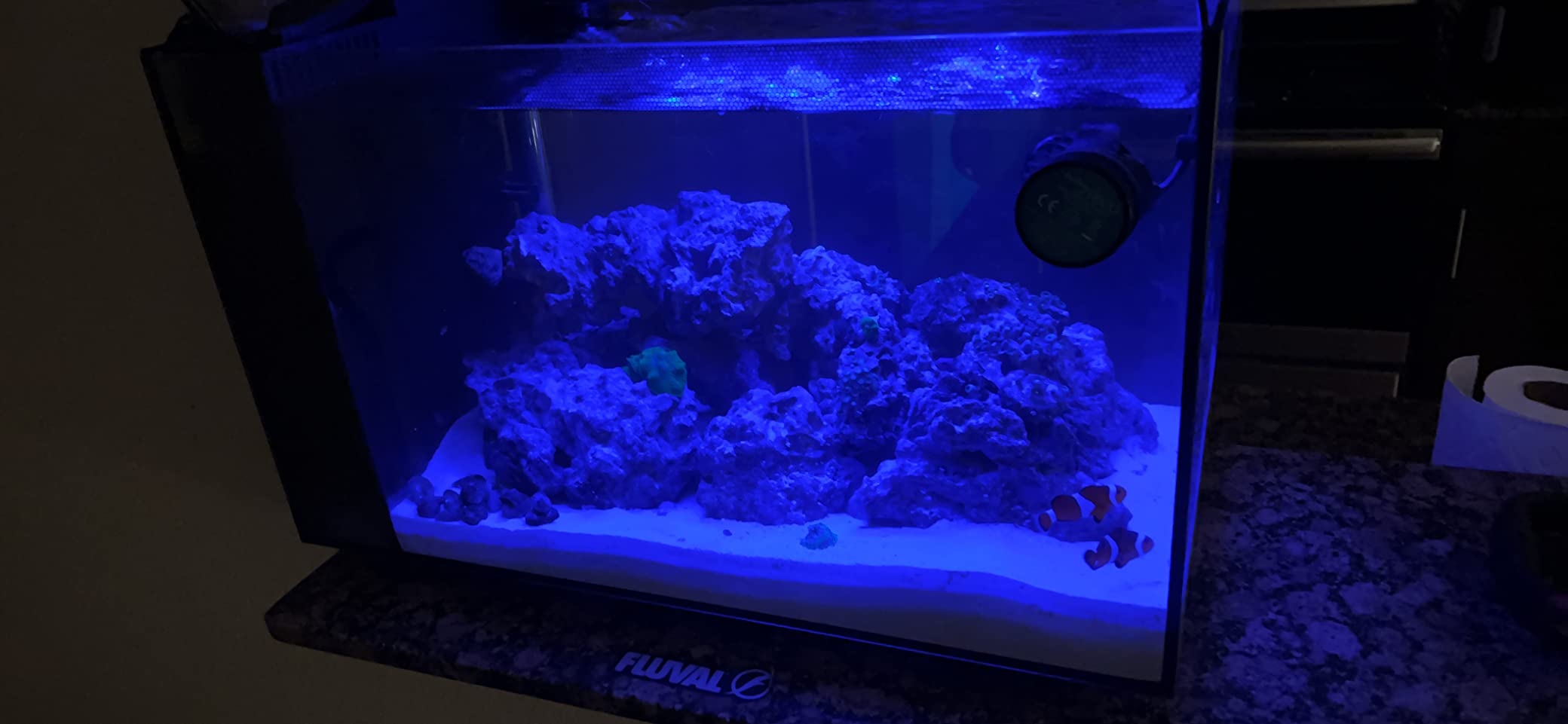 Fluval Evo XII Saltwater Aquarium Kit, 13.5 Gal. customer photo 1