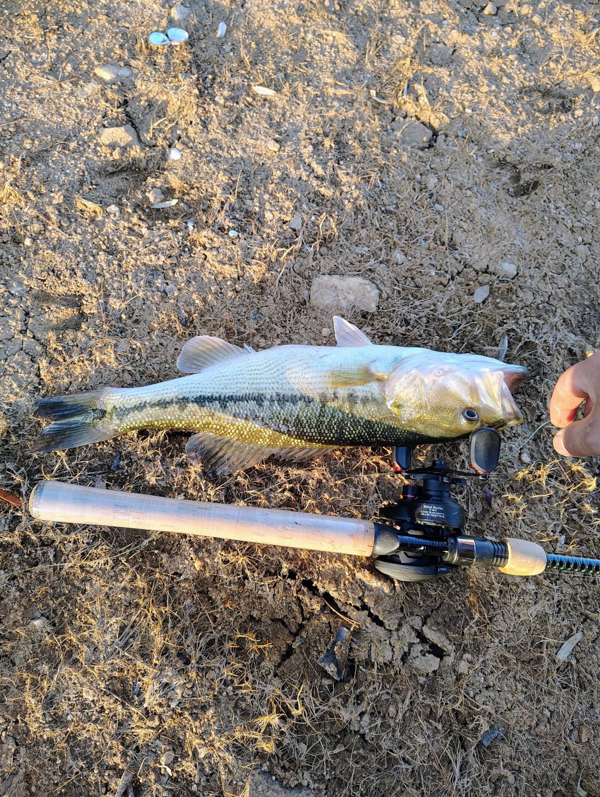 Sougayilang Fishing Spoons Hard Fishing Lures Treble Hooks Salmon Bass Metal Fishing Lure Baits customer photo 1