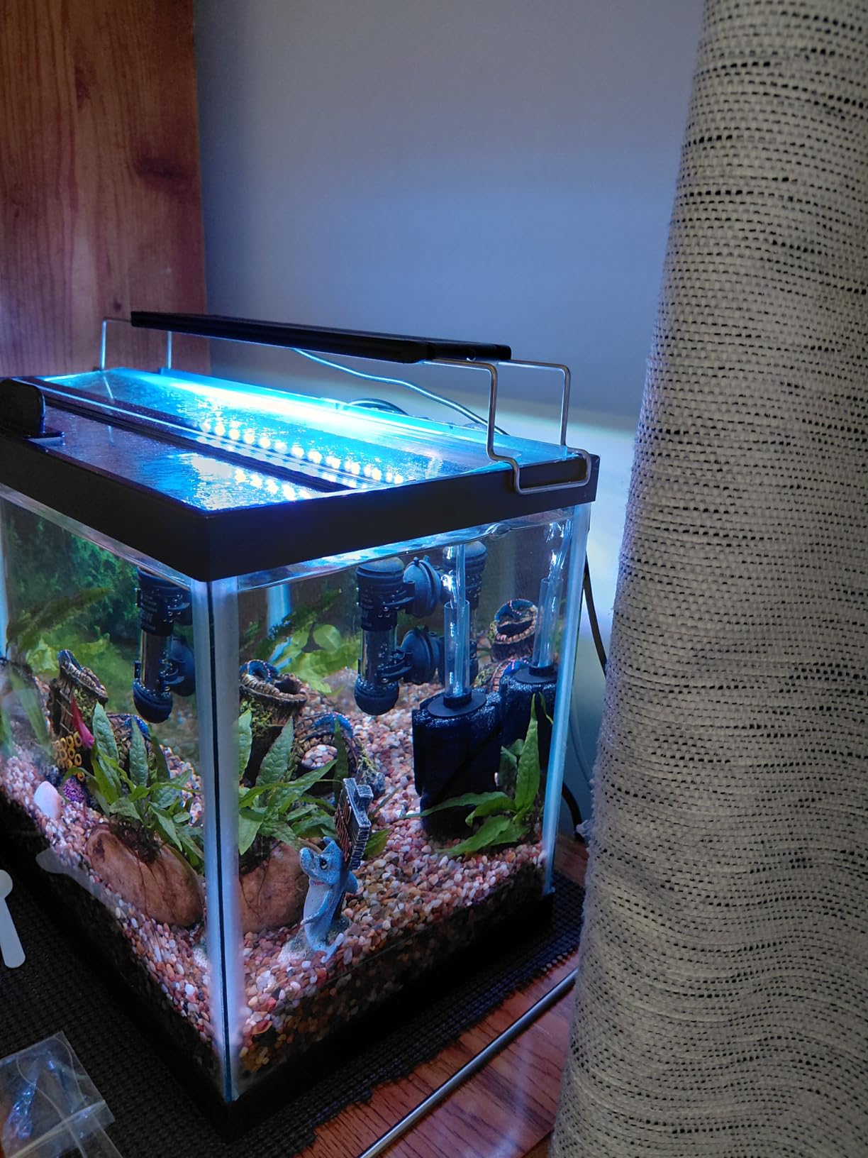 AQUANEAT 3 Pack Aquarium Bio Sponge Filter customer photo 1