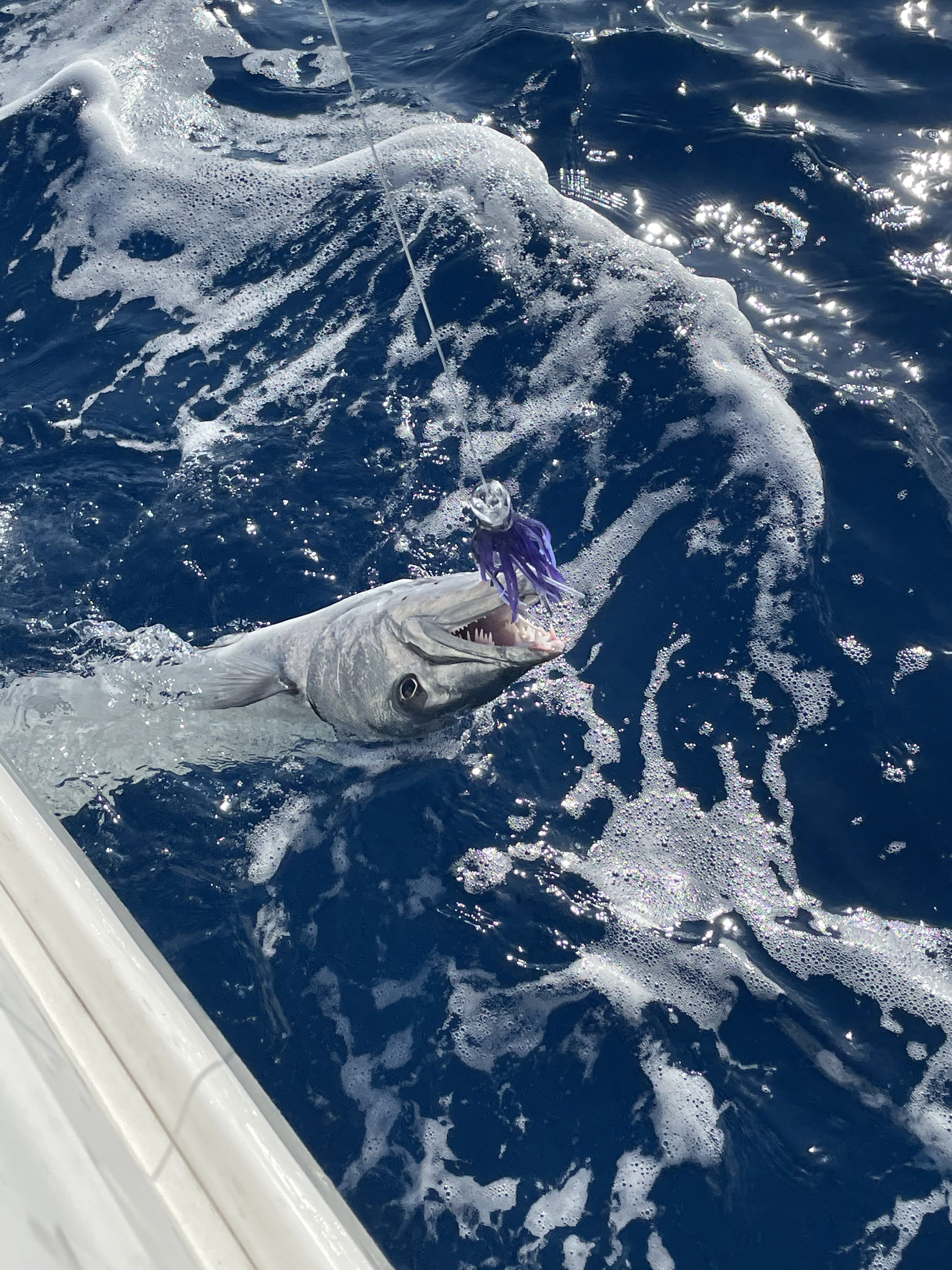 OCEAN CAT Saltwater Trolling Lure for Marlin Tuna Mahi (10 pcs set) customer photo 2