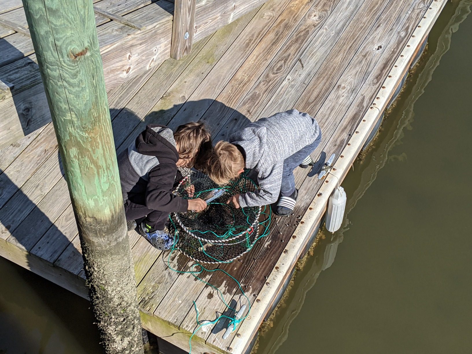 Drasry Crab Trap Bait Lobster Crawfish Shrimp Portable Folded Cast Net Magic Collapsible Fishing Traps Nets Accessories for Blue Crabs customer photo 2