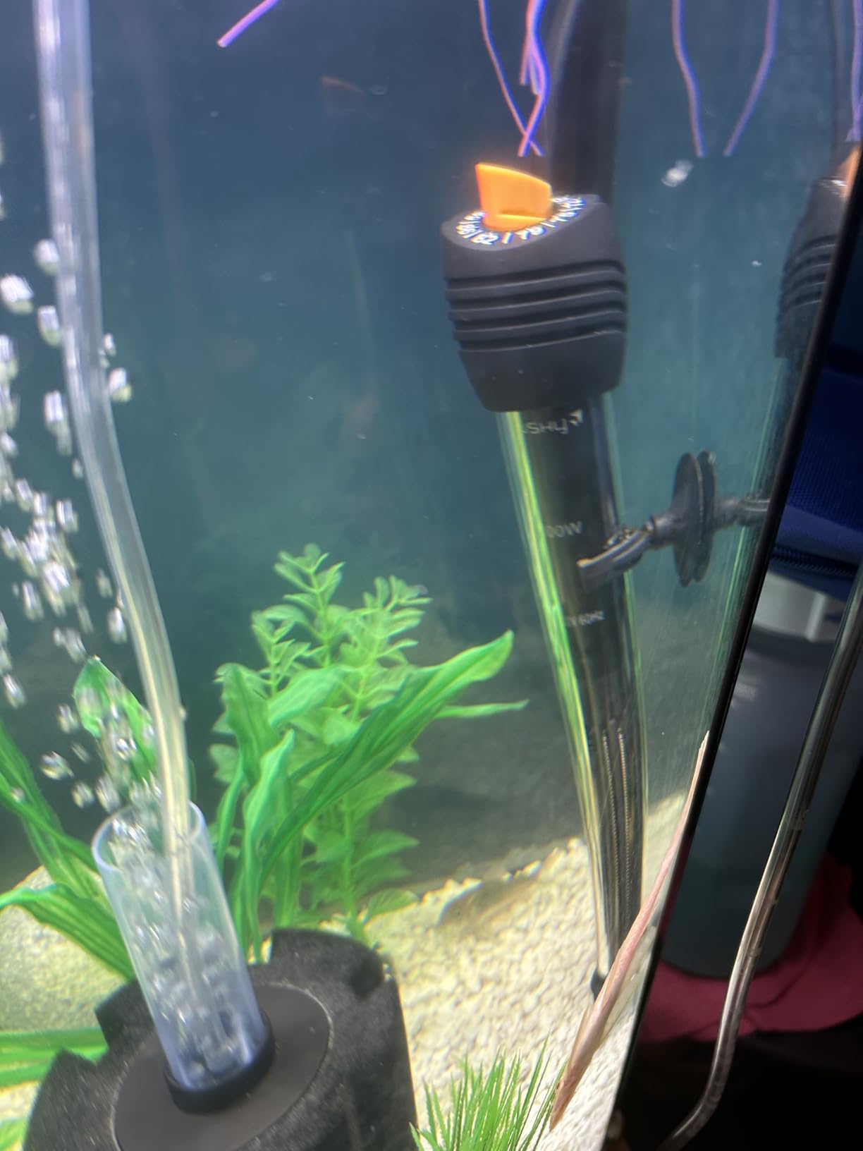 Orlushy Submersible Aquarium Heater, 300W Adjustable Fish Tank Heater customer photo 1