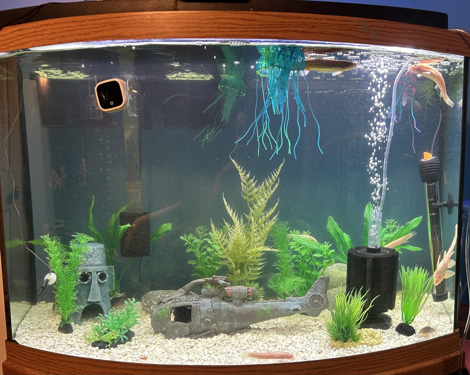 Orlushy Submersible Aquarium Heater, 300W Adjustable Fish Tank Heater customer photo 2