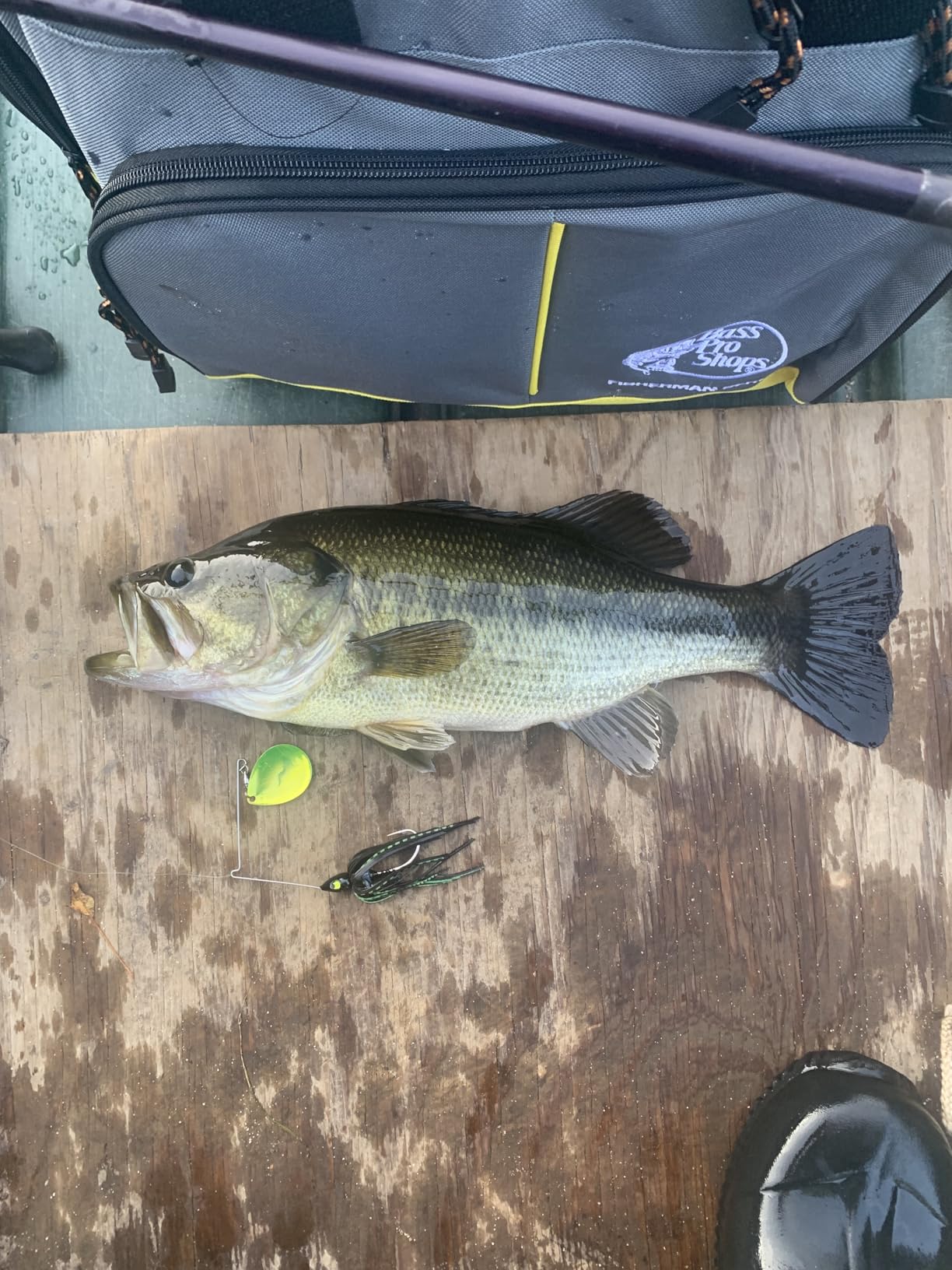 War Eagle Double Willow Spinnerbait Bass Fishing Lure customer photo 1