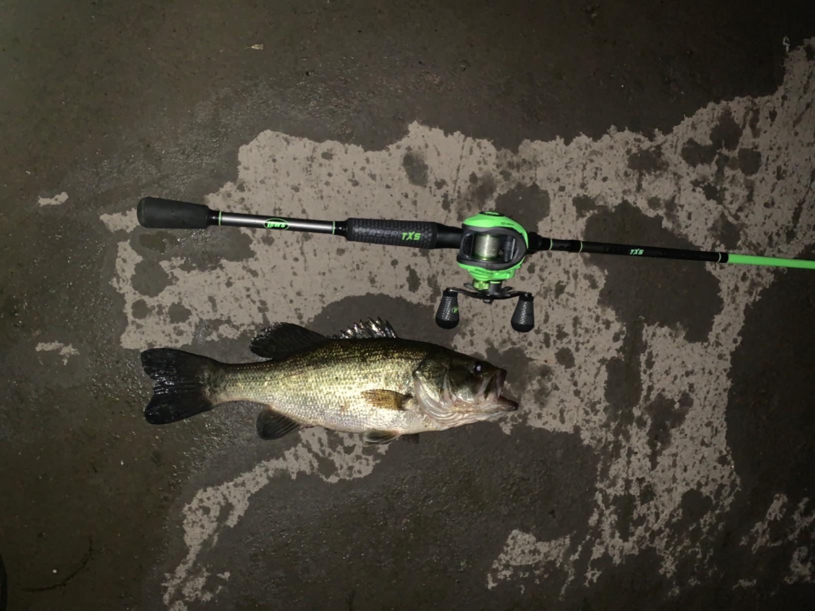 6th Sense Crush 50X Square Bill Crankbait customer photo 1