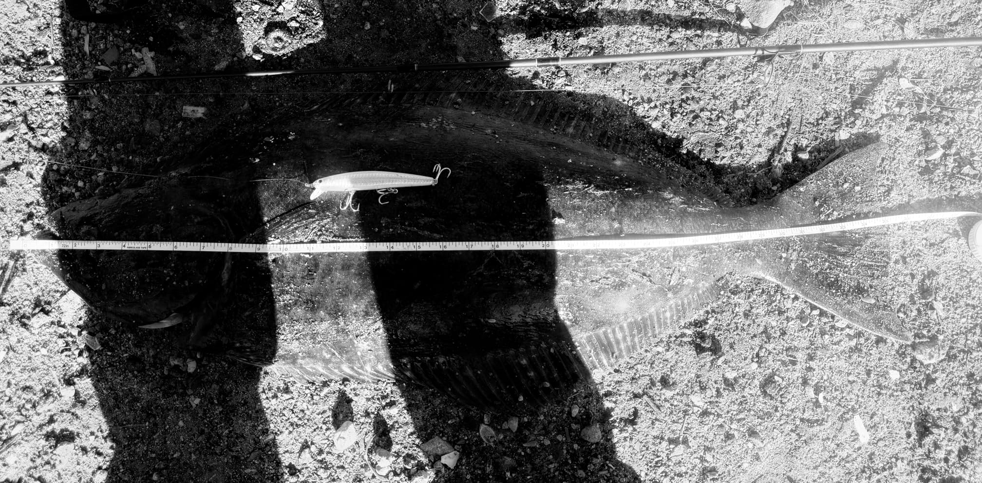 LUCKY CRAFT FlashMinnow 110, Super Glow Series, Saltwater Fishing Lures customer photo 1