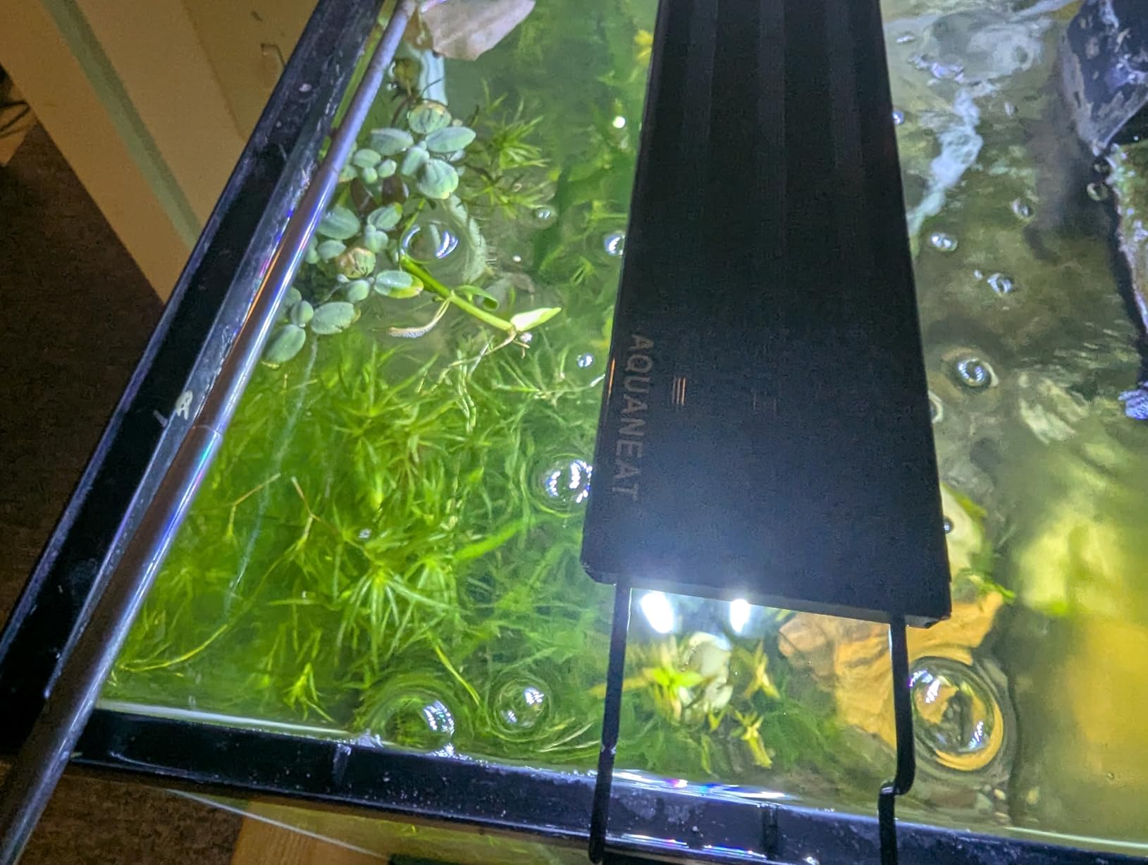 AQUANEAT LED Aquarium Light Full Spectrum for 18 Inch to 24 Inch Fish Tank Light Fresh Water customer photo 2