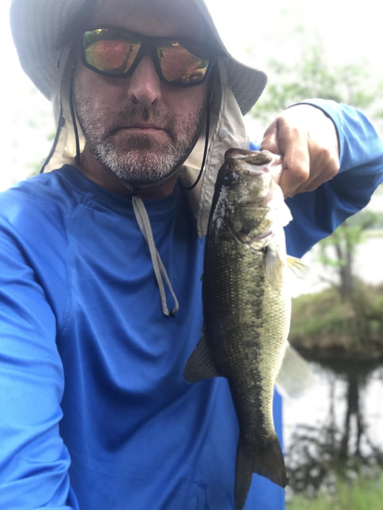 Z-Man TRD Crawz 2.5 Inch - 6 Pack customer photo 1