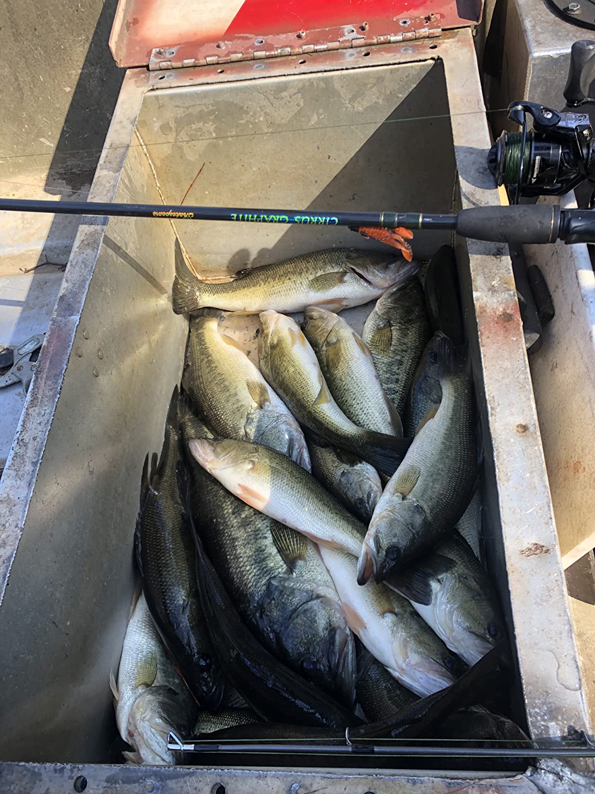 Z-Man TRD Crawz 2.5 Inch - 6 Pack customer photo 2