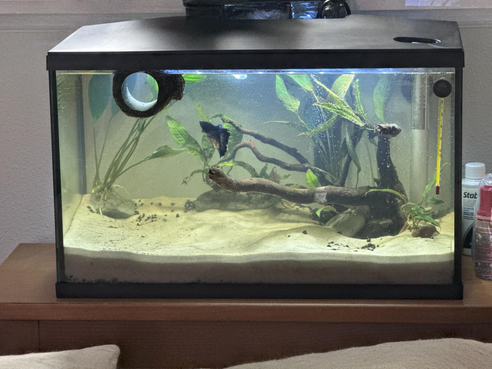 Zoo Med ZML Spider Wood 8-12IN SM customer photo 2