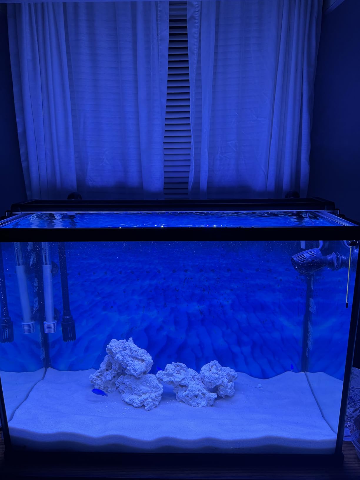 NICREW 20W Saltwater Aquarium Light, Marine LED Reef Light for Corals customer photo 1