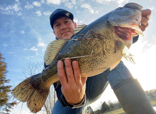 Z-Man ChatterBait Jack Hammer 1/2 oz customer photo 1