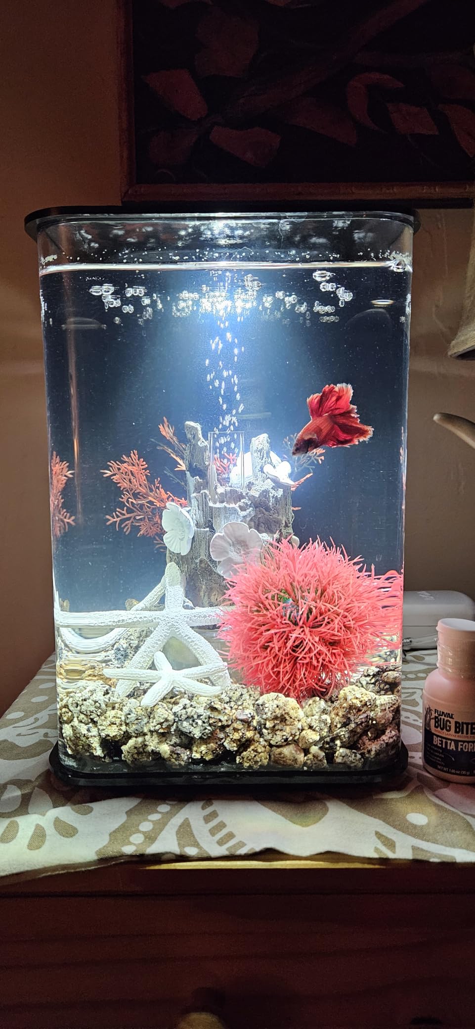 biOrb Flow 30 Acrylic 8-Gallon Aquarium with White LED Lights Modern Tank for Tabletop Display, Black customer photo 1