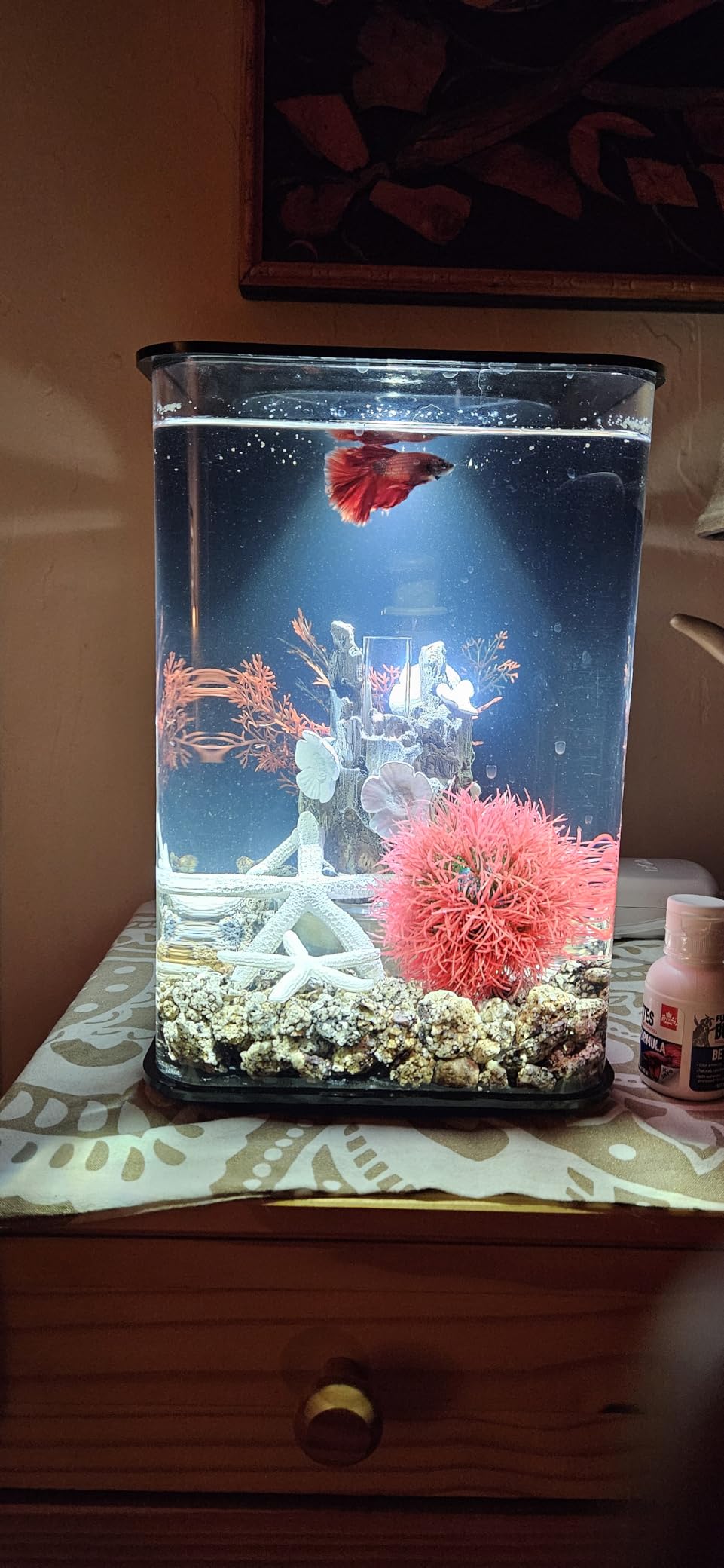 biOrb Flow 30 Acrylic 8-Gallon Aquarium with White LED Lights Modern Tank for Tabletop Display, Black customer photo 2