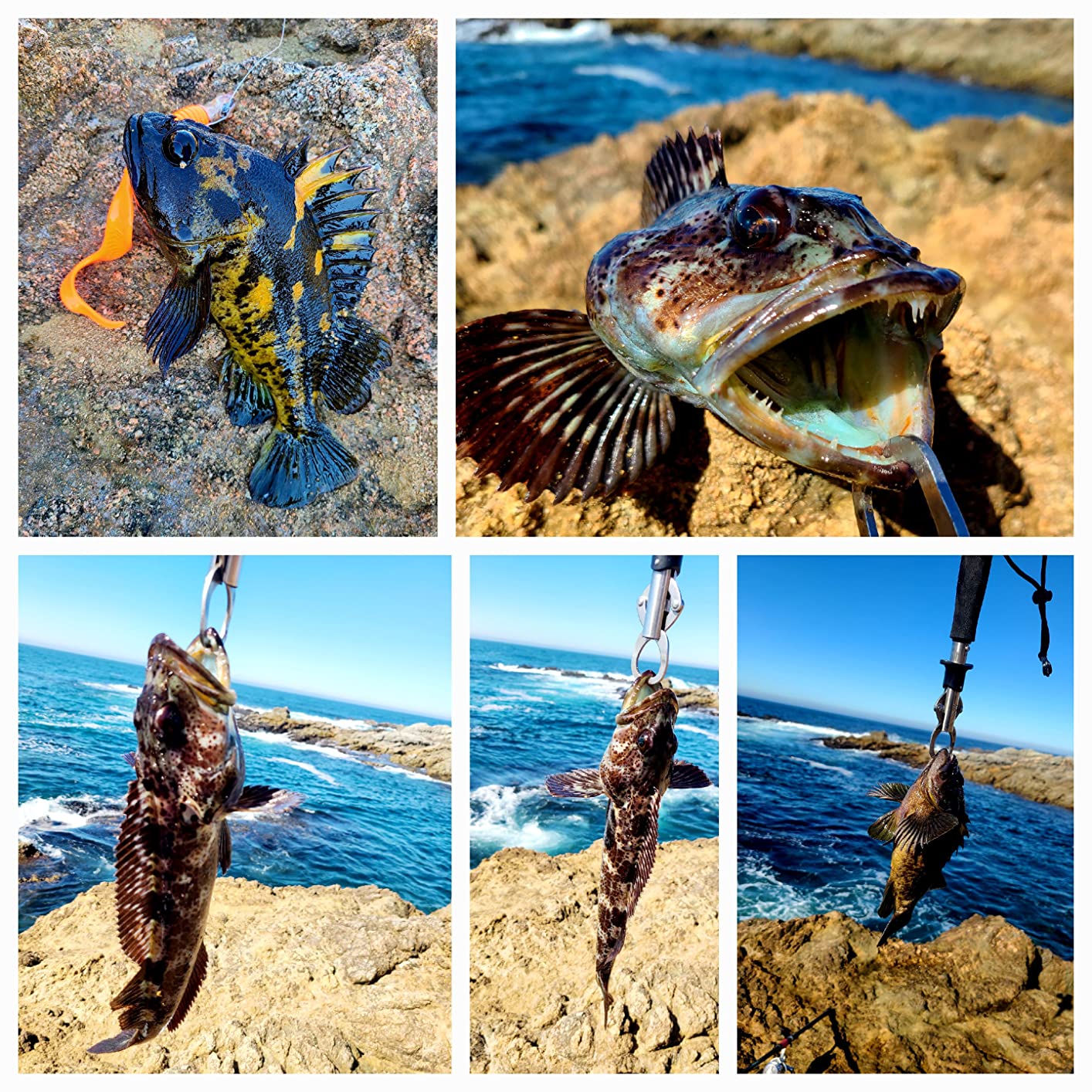 Berkley Gulp! Grub Saltwater Fishing Soft Bait customer photo 2