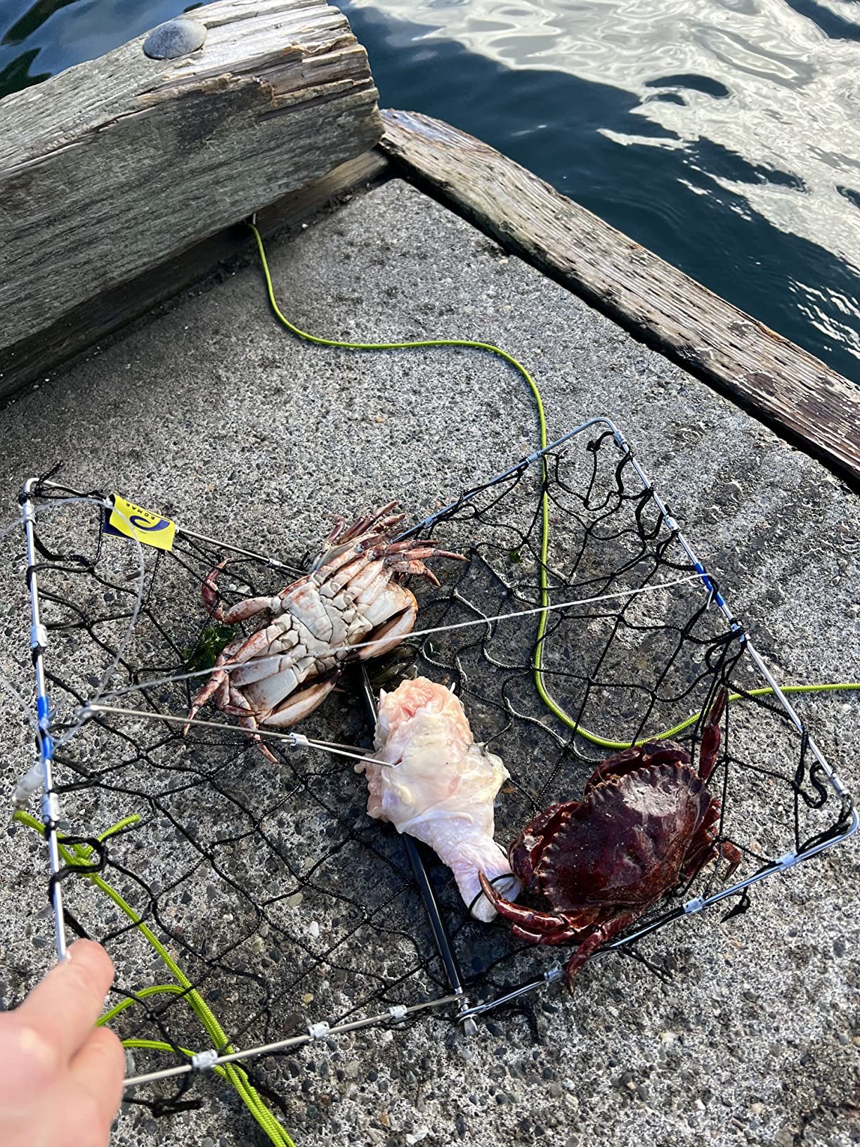 AirFly Foldable Crabjaw Trap with Bait Clip - Redesigned Rectangle Castable Crab Hawk Pot/Ring for Dungeness and Blue Crabs in FL, OR, WA, TX, and CA, Designed in San Francisco, USA customer photo 1