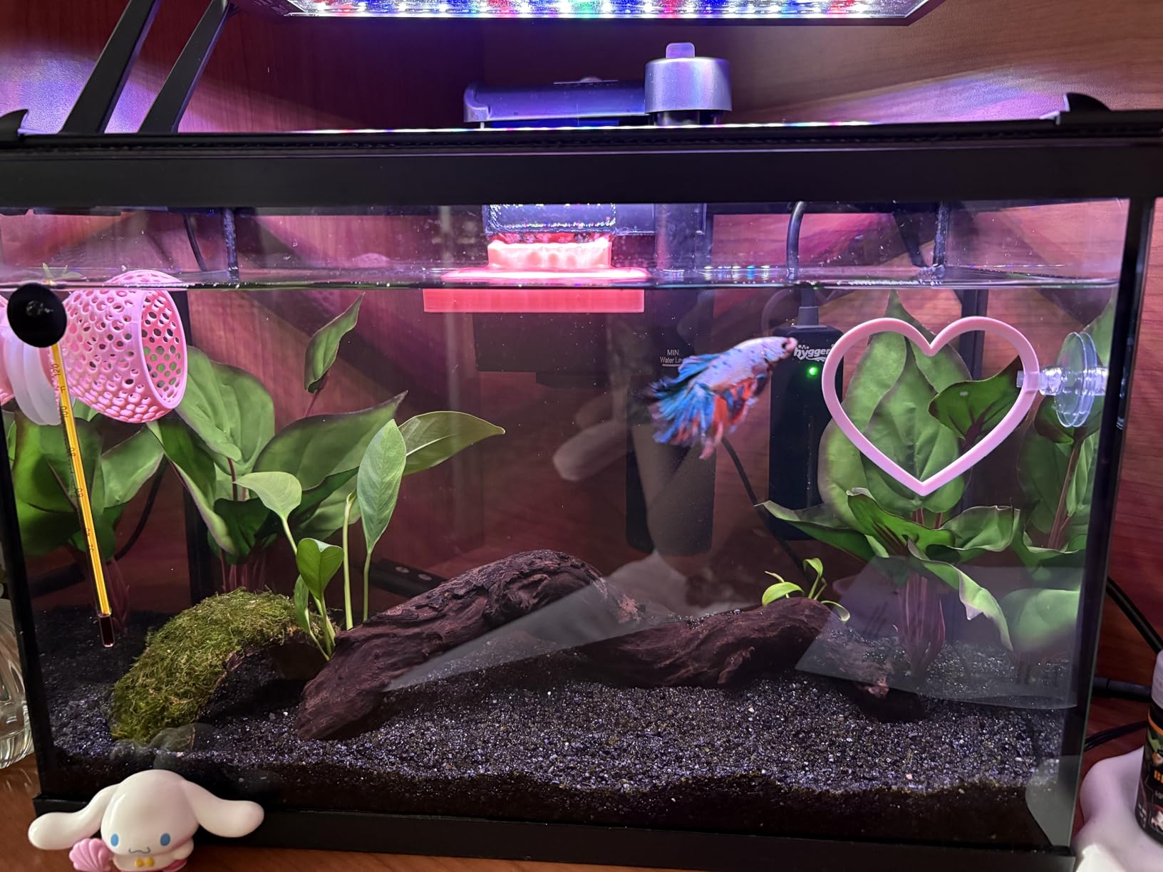 hygger Clip On 24/7 Lighting Aquarium LED Light, Sunrise-Daylight-Moonlight and DIY Mode customer photo 1