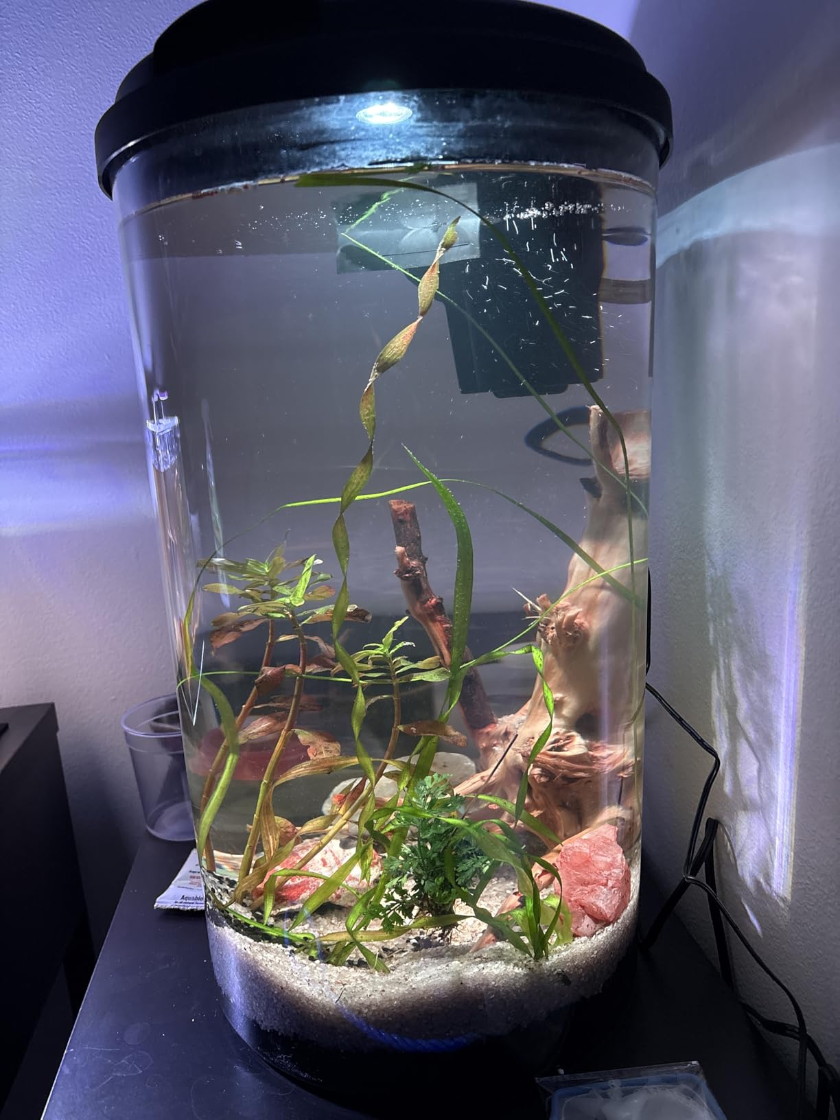 Koller Products Plastic 6-Gallon AquaView 360 Aquarium Kit for Tropical Fish, Betta Fish with LED Lighting and Power Filter customer photo 2