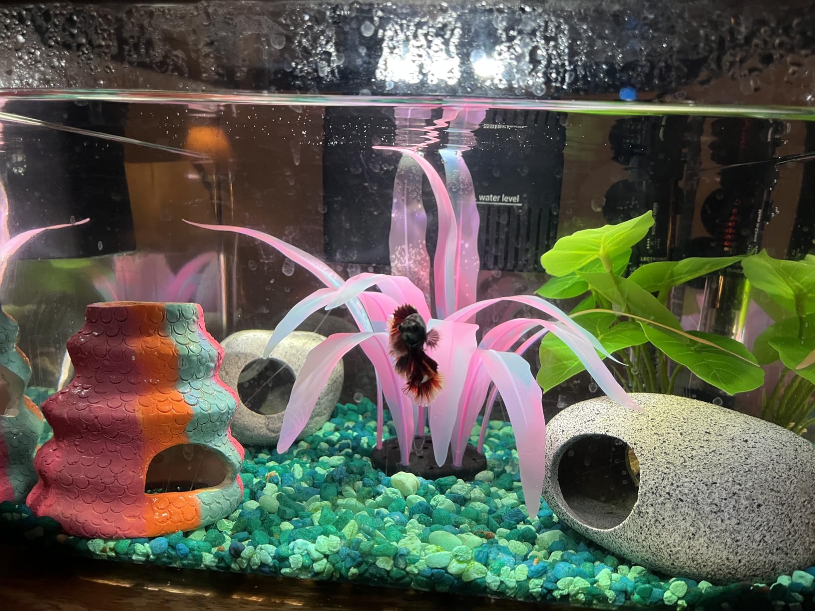 JIH Aquarium Decorations Rock, Ceramic Shelters - Shrimp Habitat, Breeding Tube, Hiding cave customer photo 2
