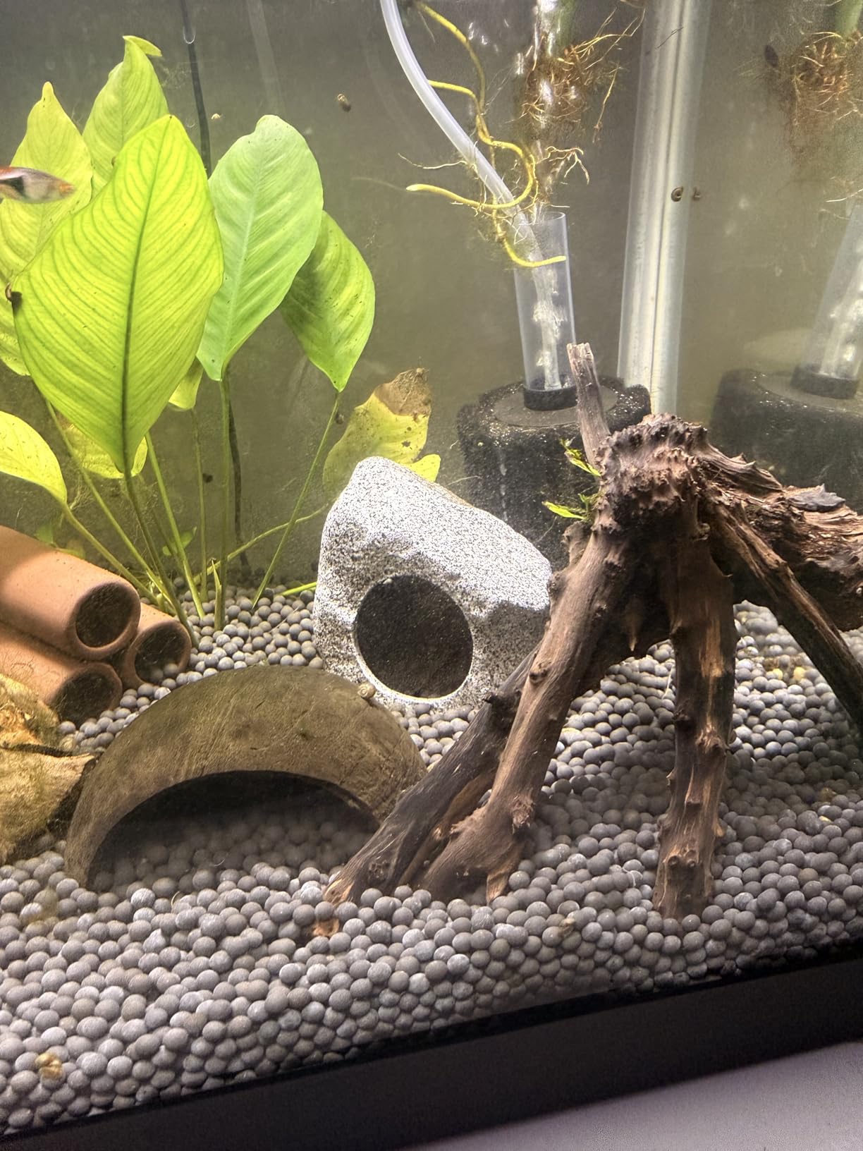 Ameliade Aquarium Decorations Cave Fish Tank Accessories Rock Decor for Shrimp Cichlid Hiding Breeding Small Fish Bowl Hide Decoration Betta Toys Hideout Stones House (Medium) customer photo 1