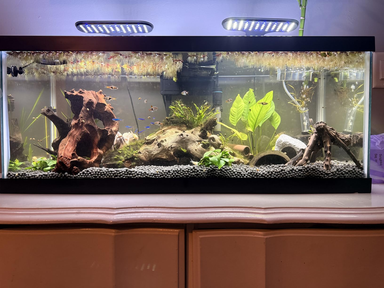 Ameliade Aquarium Decorations Cave Fish Tank Accessories Rock Decor for Shrimp Cichlid Hiding Breeding Small Fish Bowl Hide Decoration Betta Toys Hideout Stones House customer photo 2
