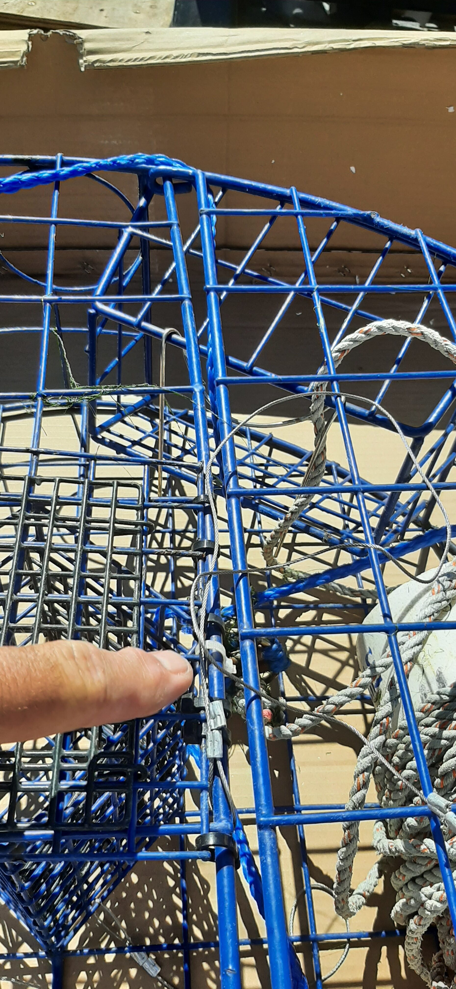 Promar TR-530 Heavy Duty Crab Pot customer photo 1