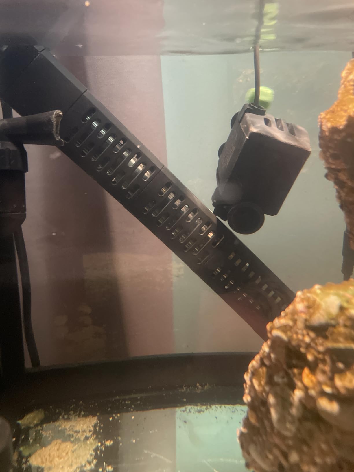 HiTauing Aquarium Heater, 300W Submersible Fish Tank Heater with Over-Temperature Protection customer photo 1