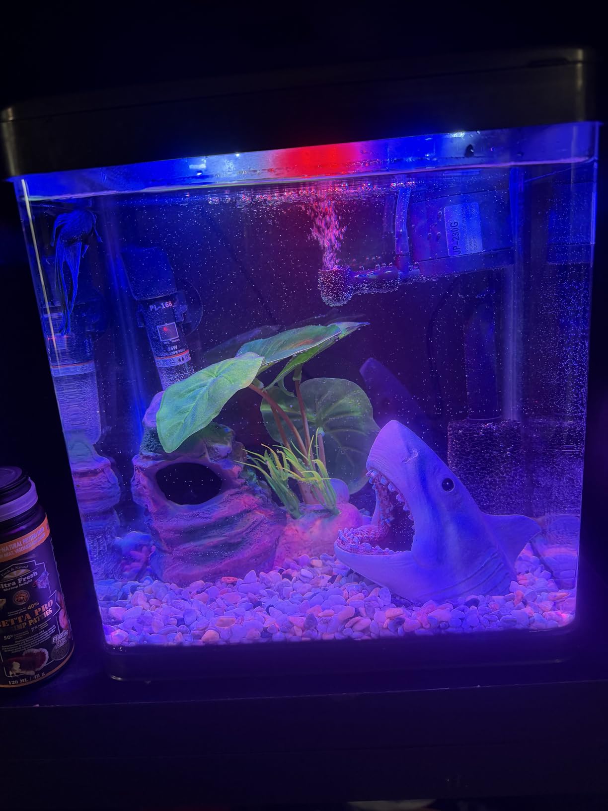 Betta Fish Tank Self Cleaning Glass 2 Gallon Small Nano Aquarium Starter Kits Desktop Room Decor w/LED Light Decorations & Whisper Filters Water Pump customer photo 1