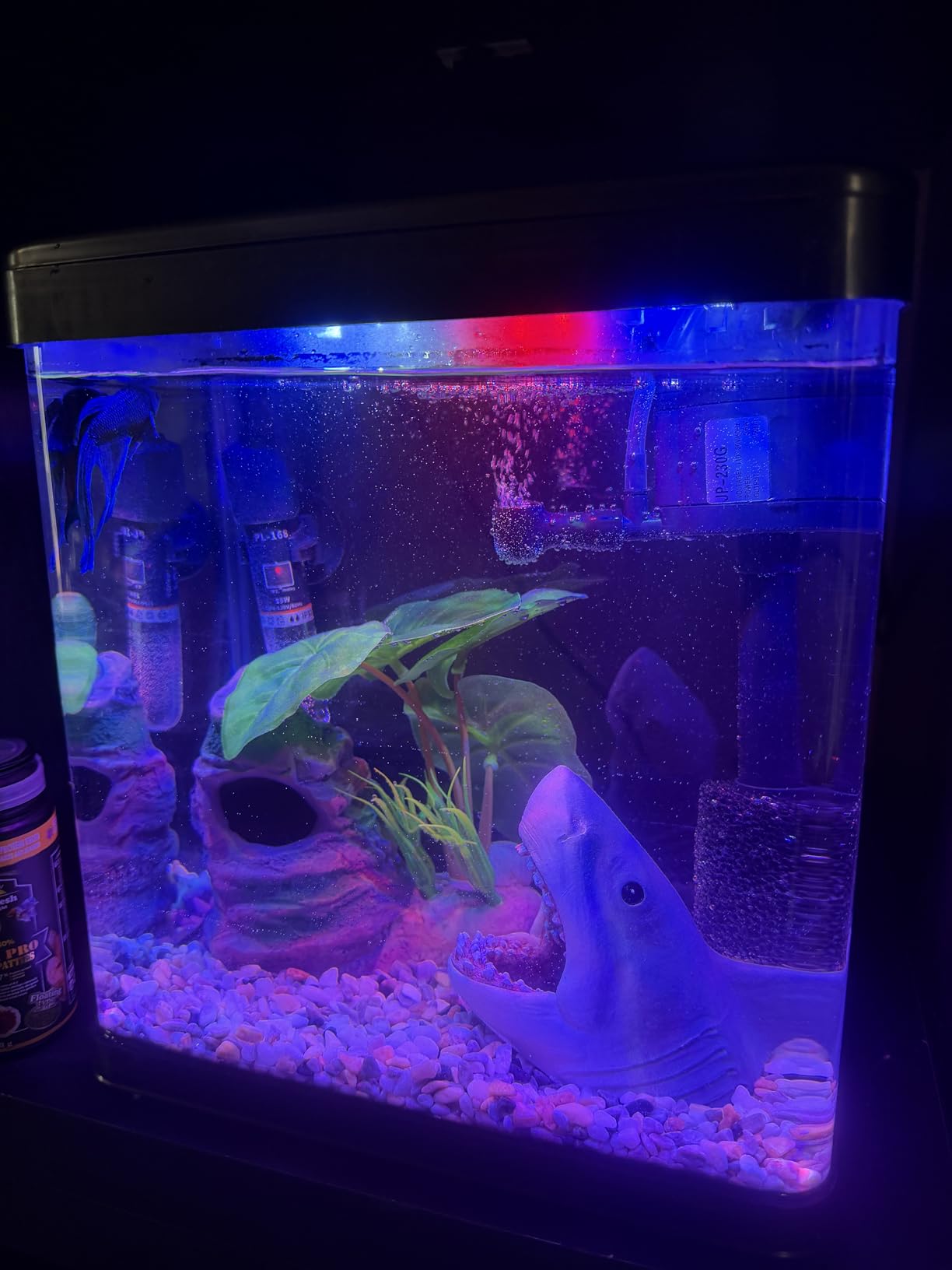 Betta Fish Tank Self Cleaning Glass 2 Gallon Small Nano Aquarium Starter Kits Desktop Room Decor w/LED Light Decorations & Whisper Filters Water Pump customer photo 2