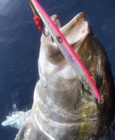 Capt Jay Fishing Saltwater Jigs Speed Jigging Pitching Lures Vertical Jigging customer photo 1