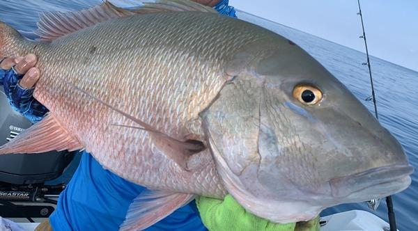 Capt Jay Fishing Saltwater Jigs Speed Jigging Pitching Lures Vertical Jigging customer photo 2
