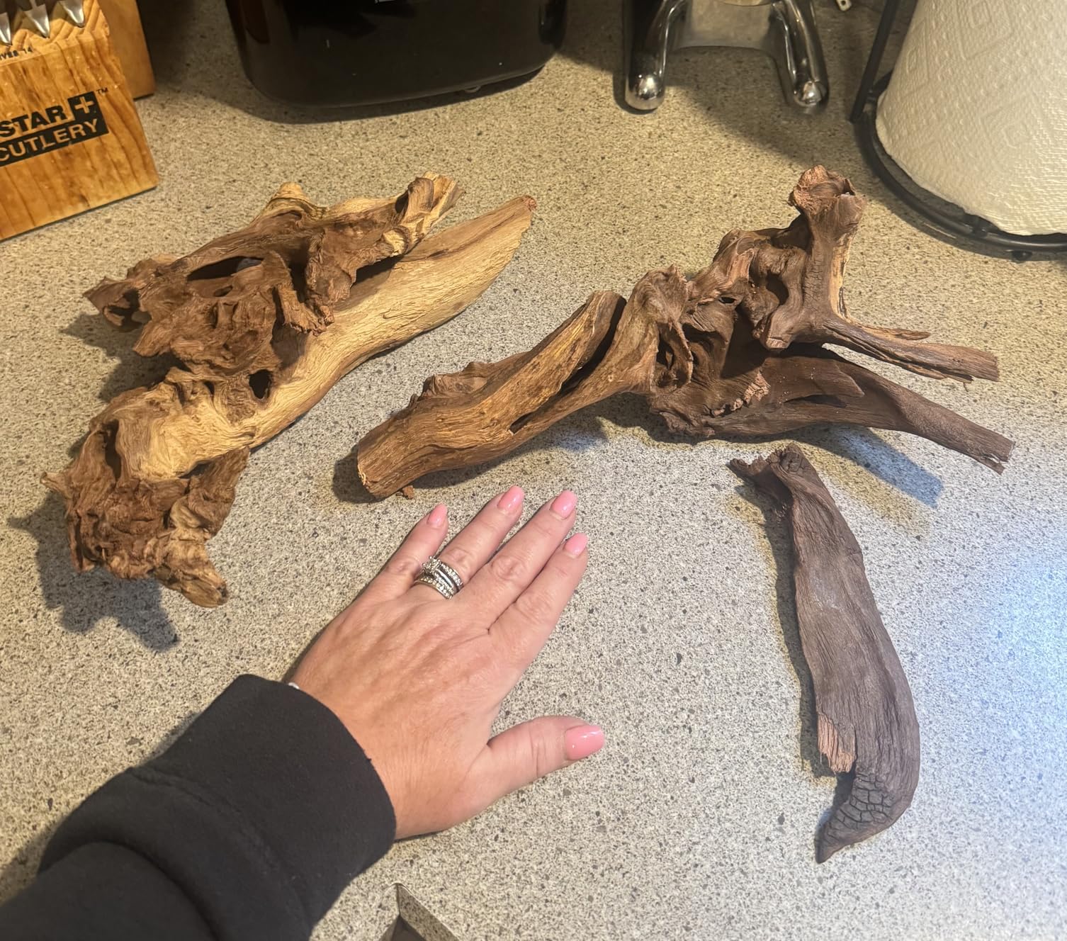 Jorewood Natural Aquarium Driftwood for Fish Tanks & Reptile Terrariums - Safe Fish Tank Decorations, Unique Twisted Branches 2-Piece 10-14 Inch Low Tannin customer photo 1