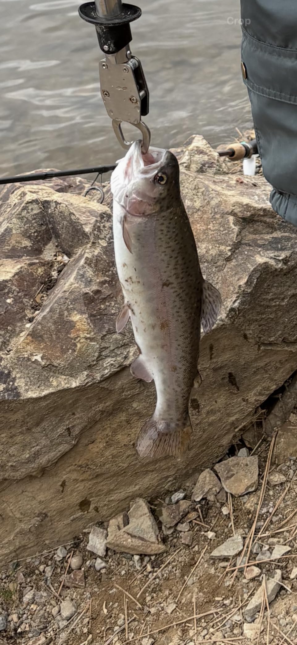Dovesun Crappie Jigs Hand-Tied Marabou Jigs Kit customer photo 2