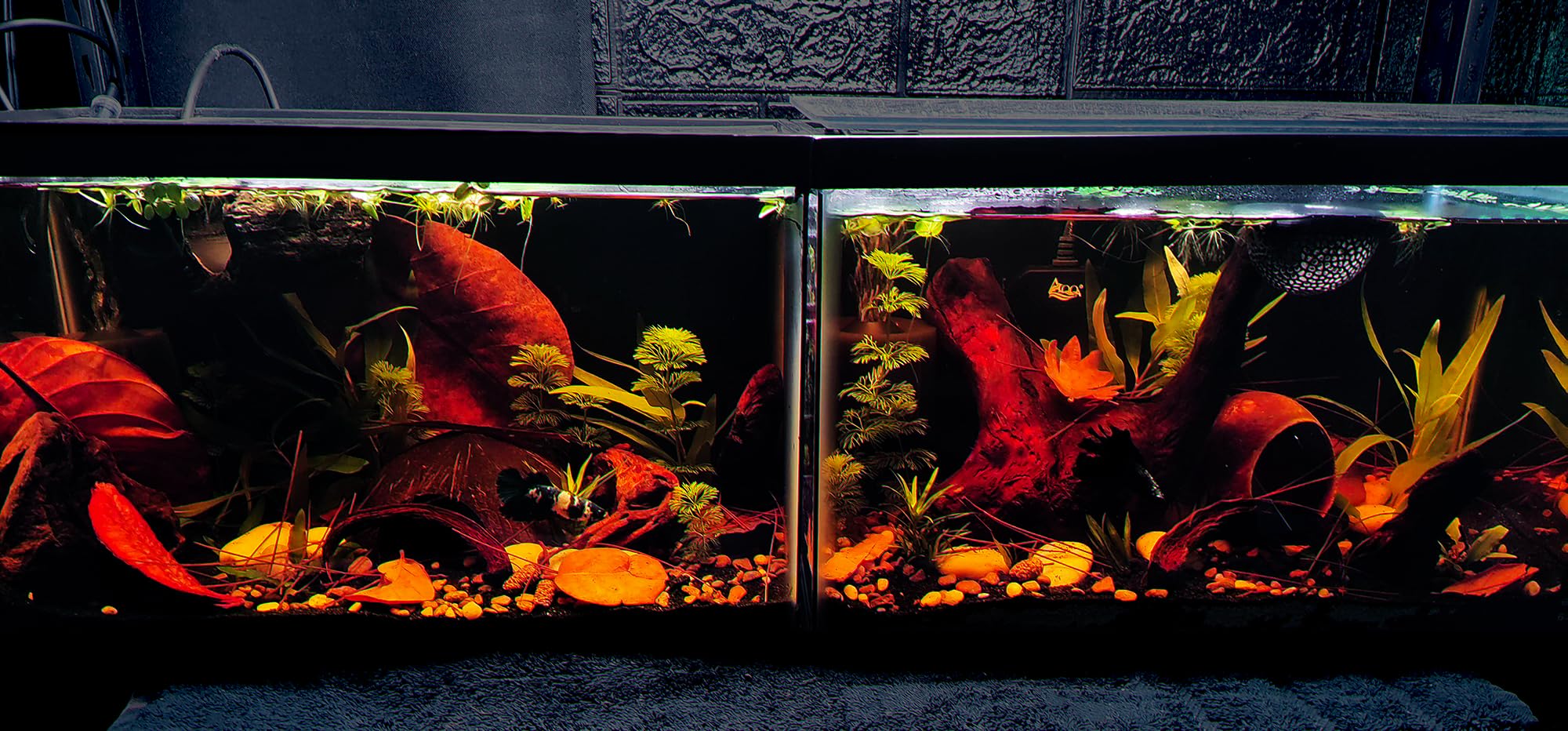 hygger Aquarium Sponge Filter 20-55 Gallon Fish Tank Filter for Breeding Fry Shrimp Snails Betta Air-Powered Filter customer photo 1