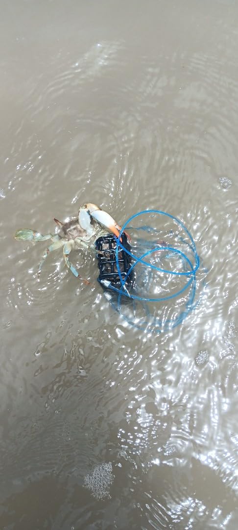 AirFly Heavy Surf 6-Loop Crab Trap for Fishing Poles - Lead-Free, USA-Made customer photo 2
