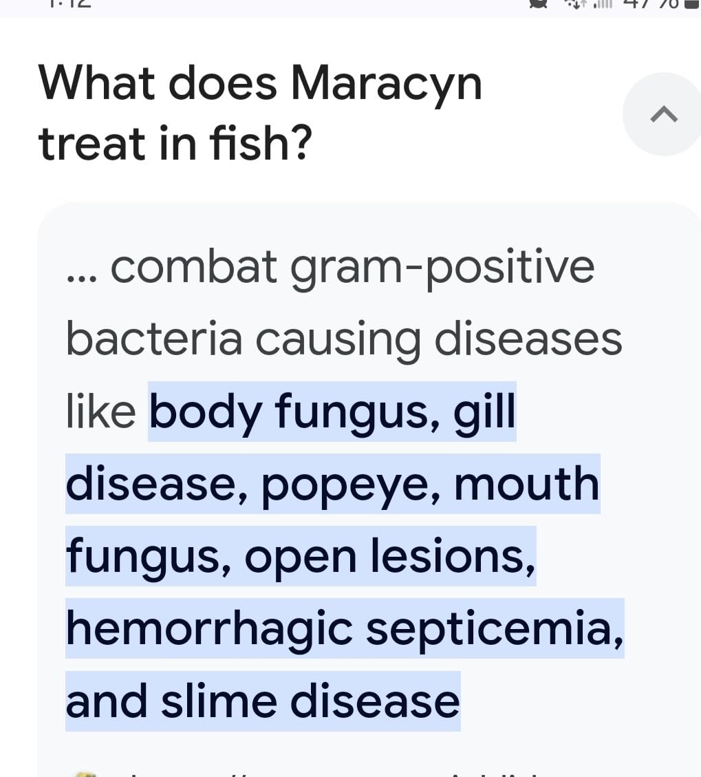 Fritz Maracyn - for Saltwater and Freshwater gram-Positive Relief from Bacterial gill, Popeye, More - Easy dose Packets, 20 Count customer photo 2