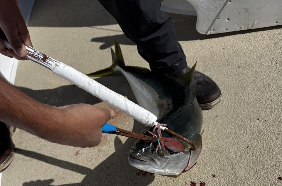 Nomad Design Original Squidtrex Patented Vibrating Fishing Lure - TPE Soft Plastic Lure Bait for Saltwater with Strong BKK Assist Hooks, Fishing Bait That Catches Many Species customer photo 1