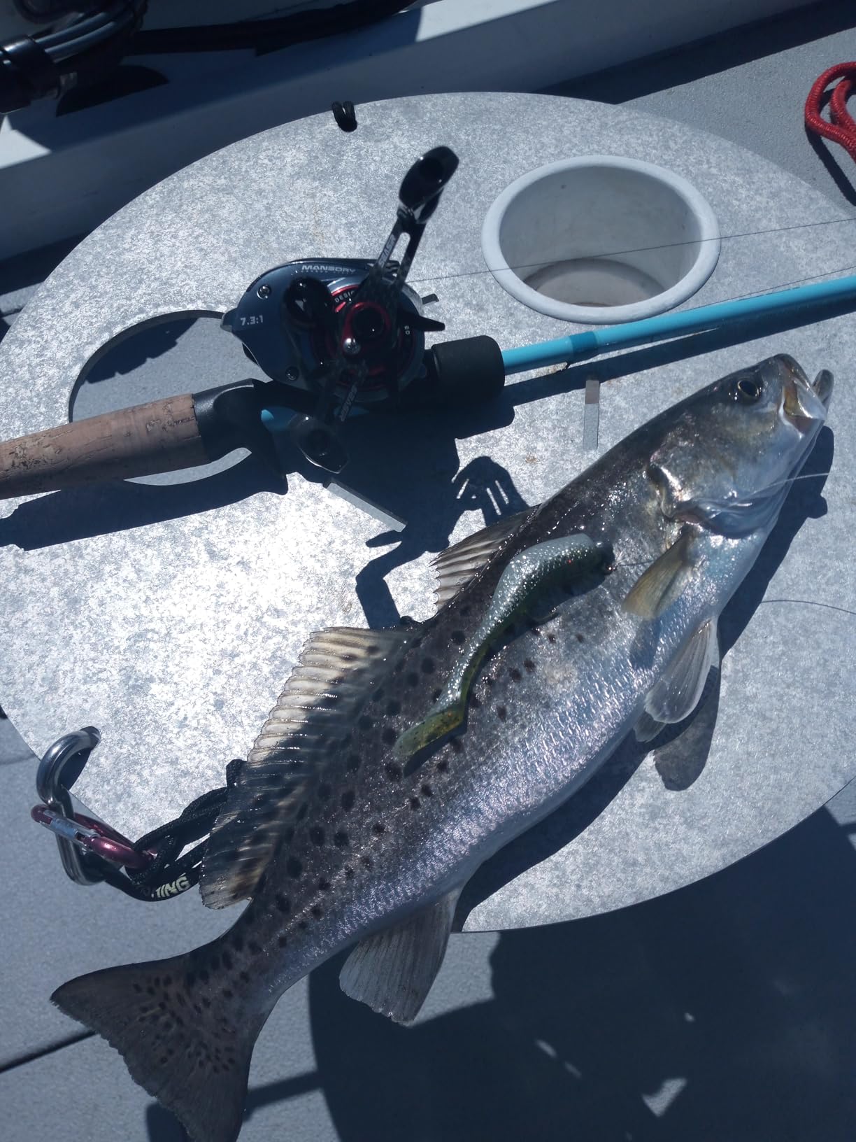 Matrix Shad Louisiana Paddle Tail Swimbaits for Speckled Trout, Redfish, Bass customer photo 1