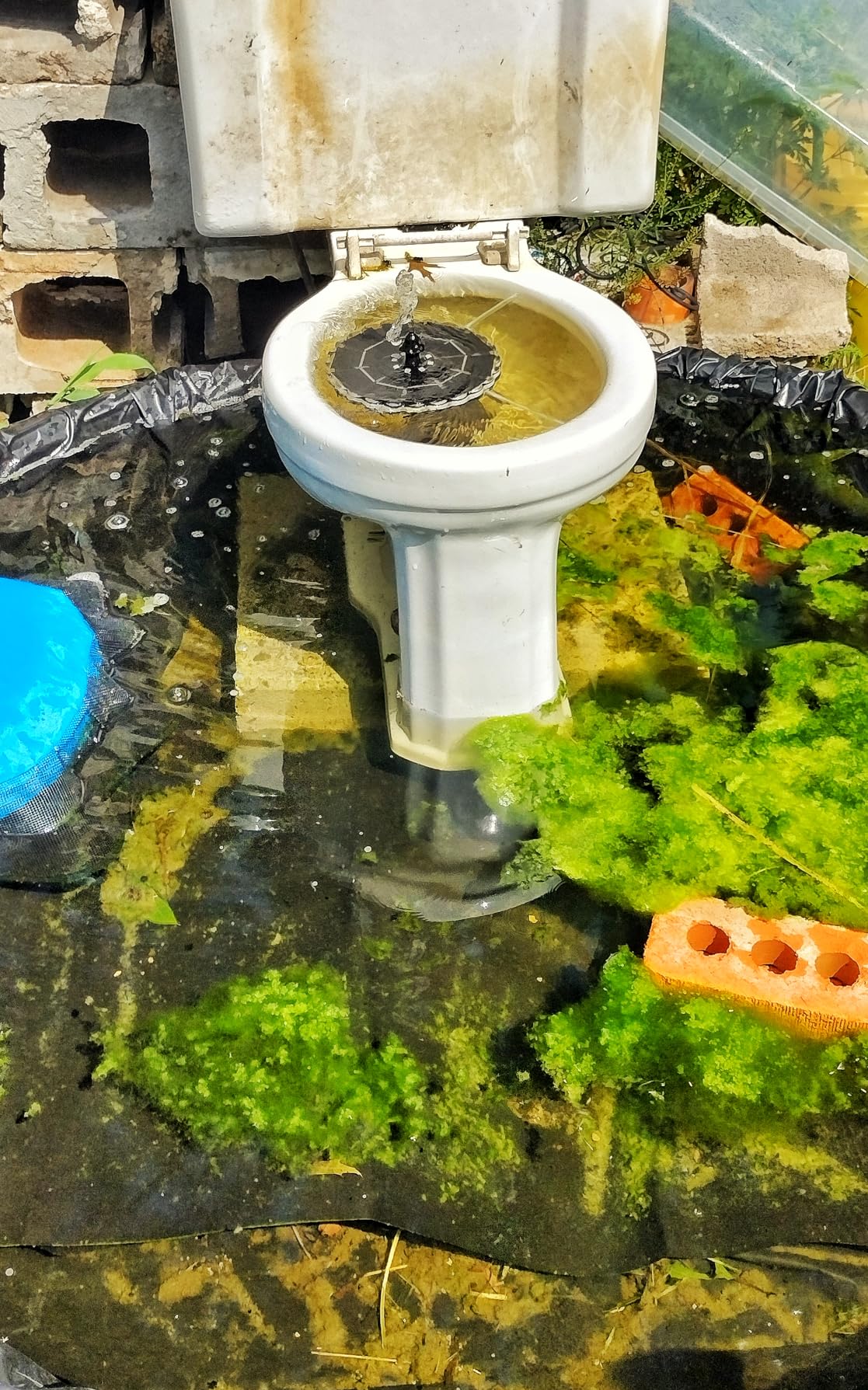 Marineland Diamond Blend 50 Ounces, Ammonia-Neutralizing Zeolite And Carbon, Aquarium Filter Media customer photo 2