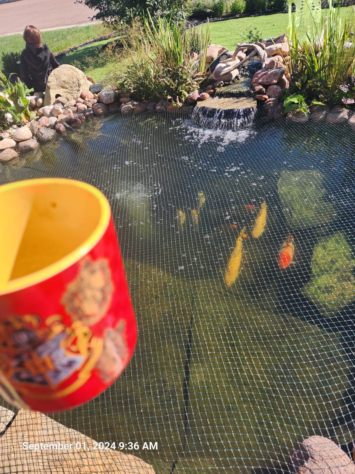 MICROBE-LIFT Sludge-Away Pond and Outdoor Water Garden Sludge Remover, Safe for Live Koi Fish, Plant Life, and Decor (32 Ounces) customer photo 2