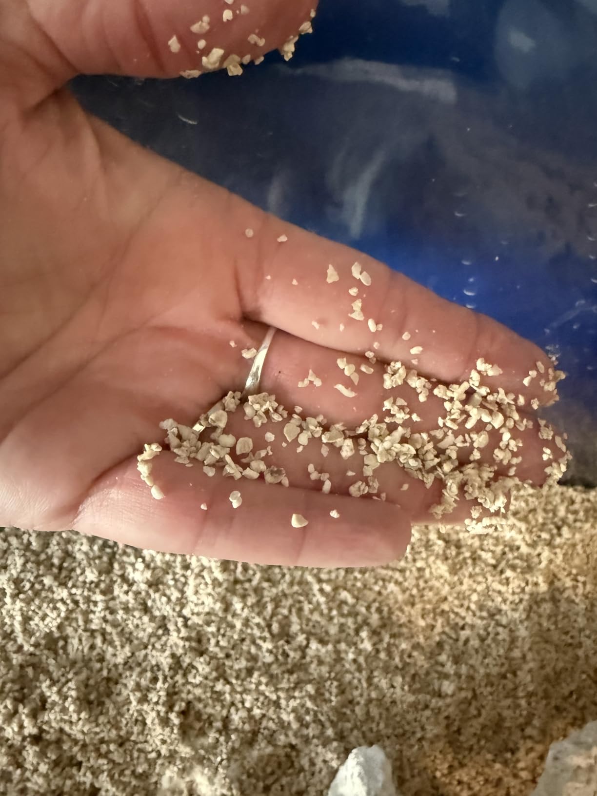 Carib Sea ACS00050 Aragonite Reef Sand for Aquarium, 40-Pound customer photo 1