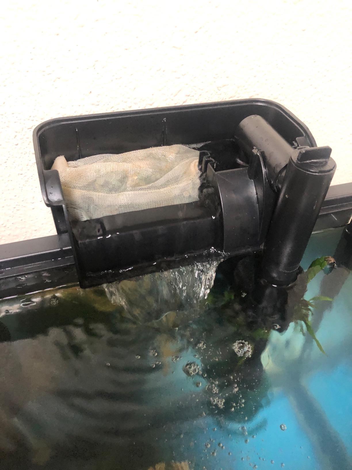 Fluval Ammonia Remover, Chemical Filter Media for Freshwater Aquariums, 3-Pack customer photo 2