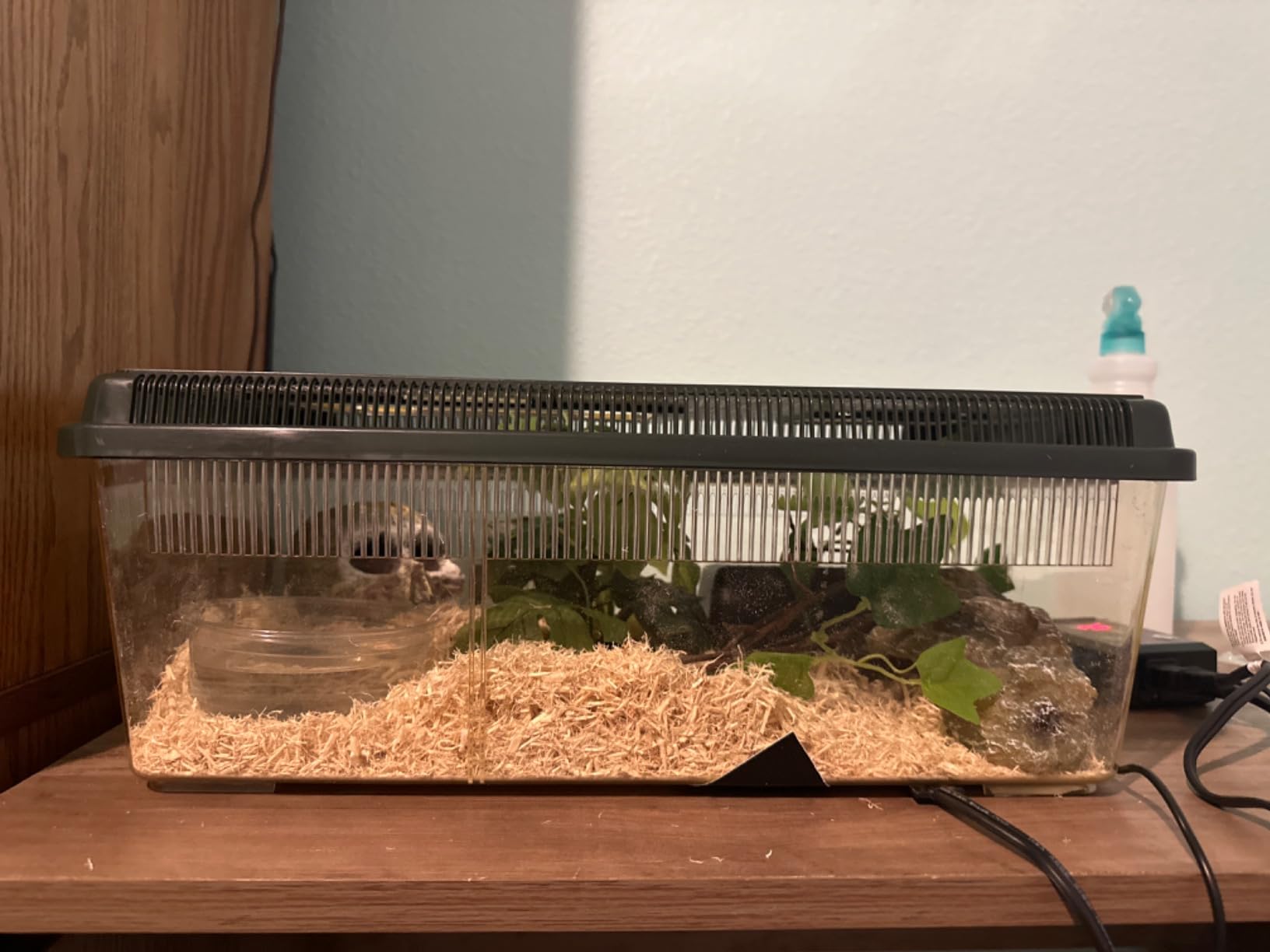 Exo Terra Faunarium Reptile Terrarium, Large (18