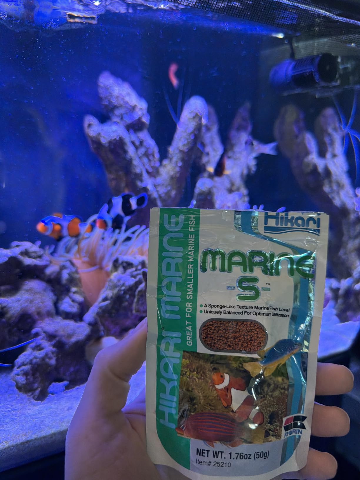 Hikari Marine-S Pellets Fish Food for Smaller Marine Fish customer photo 1