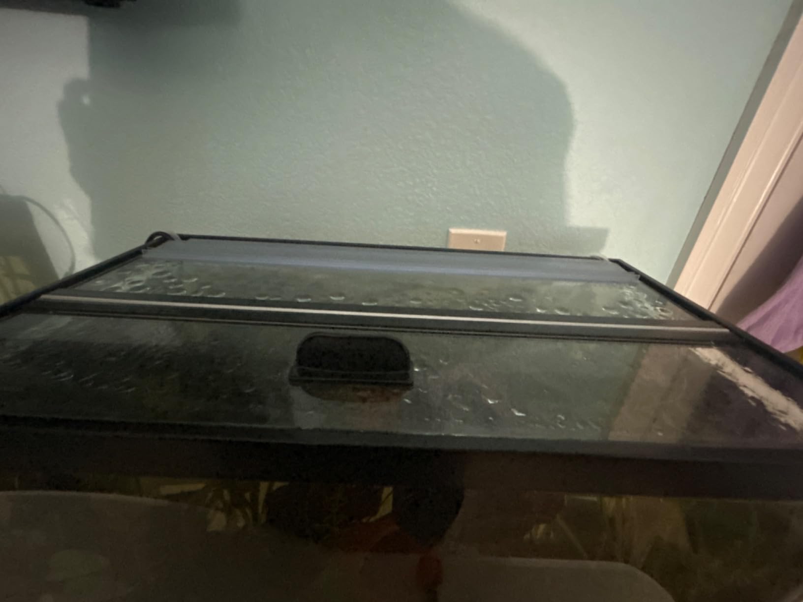Aqueon Aquarium AAG29024 Glass Versa Top, 24-Inch for Fish customer photo 1