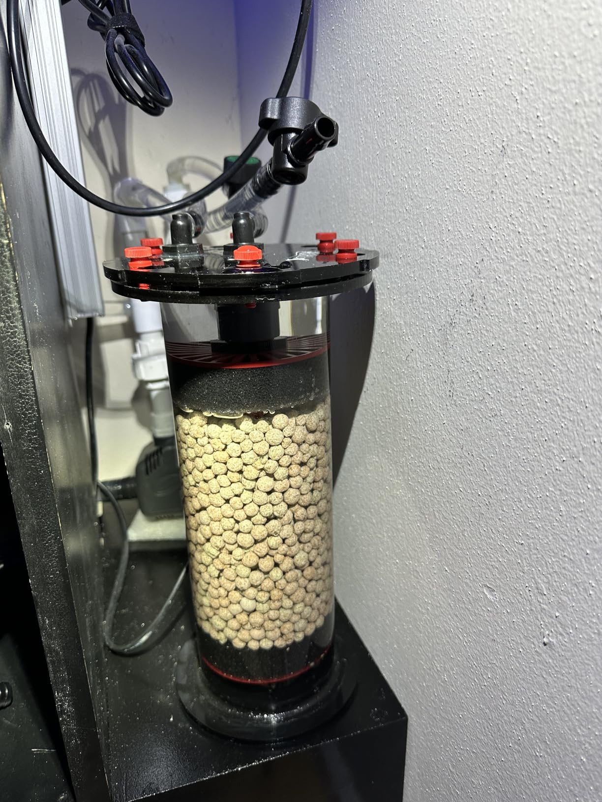 EHEIM Substrat Pro Biological Filter Media (Sintered Pearl-Shaped Glass) 1L customer photo 1